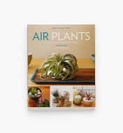 LA963 - Air Plants