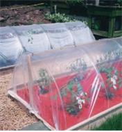 Hoops used to hold plastic film over garden rows
