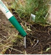Close-up of loop hoe blade cutting weeds in a garden