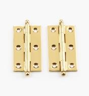 00D0601 - 2" x 1 1/8" Extruded BrassFast-Pin Ball-Tip Hinges, pr.