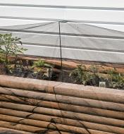 Mosquito Netting used to cover plants in a raised-bed garden