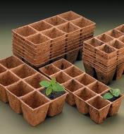 Coir Containers