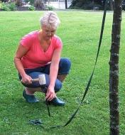 A woman uses arbor tape to stake a young tree