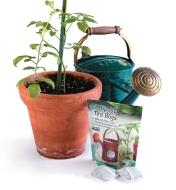Package of Compost Tea Bags next to a potted plant and a watering can