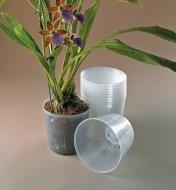 XB755 - Pots transparents pour orchidées, le lot de 10