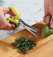 Cutting herbs with the mincing shears