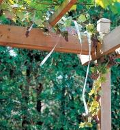 Holographic Scare Tape hanging over grape vines on a trellis