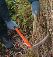 Folding Sickle being used to cut back tall grass