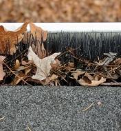 Close-up of gutter brush bristles capturing fallen leaves