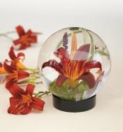 Flower Aquarium filled with water with a daylily inside