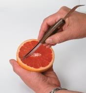 Cutting along the sides of a grapefruit membrane with the Grapefruit Knife