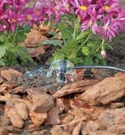 Mini-Bubbler emitting water in a garden as part of an irrigation system