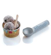EV251 - Ice Cream Scoop