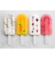 Four examples of different ice pops made with the ice pop molds