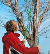 A woman standing on the ground uses the Tree-Pruning Kit to cut a high tree branch