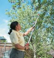 A woman uses the telescoping pruner to cut a high tree branch