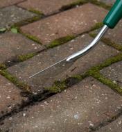 Close-up of Lee Valley Blade Cultivator removing moss from between paving stones
