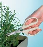 Cutting herbs with Precision Scissors