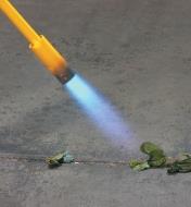 Close-up of flame aimed at weeds on a walkway