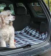 A dog sits on the Tartan Outdoor Lined Blanket in the cargo area of an SUV