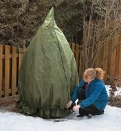 A woman cinches the drawstring of a Shrub & Potted Plant Protector around the bottom of a shrub