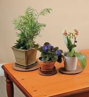 Disques protecteurs pour pots à fleurs