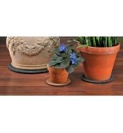 Three potted plants sitting on cork or fabric surface protectors on a table