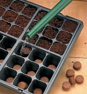 Adding water to the cells in the tray containing coir pellets
