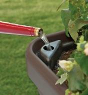 Close-up of fill port on Self-Watering Planter