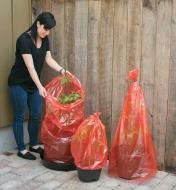 A woman covers three potted plants with Tomato Greenhouse sleeves