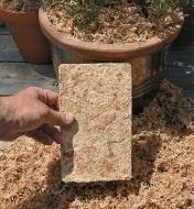 Compressed Sphagnum Moss packet in front of a planter filled with expanded moss