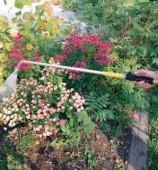Spraying flowers in a garden with the Water Wand