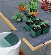 Various potted plants sit on a watering mat that is absorbing water from a bucket