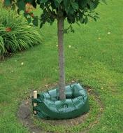 Tree Drip Irrigation System positioned around a young tree and filled with water