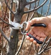 Bypass pruner being used to prune a small branch
