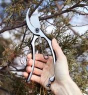 Using the all-steel bypass pruner to clip twigs off a tree branch