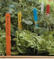 Different-colored markers with names of crops written on them inserted in a garden 