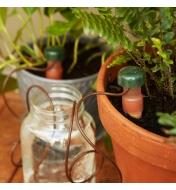 Automatic Plant Waterers inserted in two plant pots with hoses placed in a jar of water