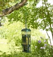 The Squirrel Buster suet feeder hung in a back yard