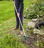 Using a Lee Valley Swoe to weed in a garden