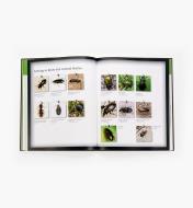 99W8380 - Good Garden Bugs