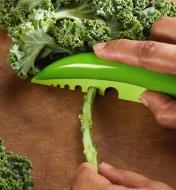Herb Stripper used to remove kale leaves from the stem