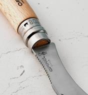 Close-up of the Mushroom Knife’s toothed back