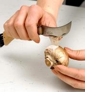 Using the back of the Mushroom Knife to remove the outer layer from a mushroom cap