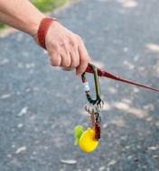 Split-Ring Locking Carabiner attaching a flashlight and a shopping bag pod to a dog leash handle