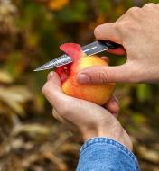 Peeling an apple with a finished knife made from the personalized knife kit