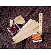 Wooden Markers splayed on garden soil, with one of each size used to mark carrots and beets