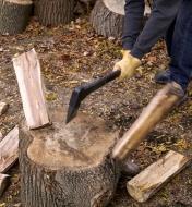 The splitting axe being used to split a piece of hardwood for firewood