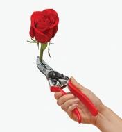 Felco #100 Cut-&-Hold Pruner holding a rose by the stem