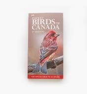 LA908 - Pocket Birds of Canada, 2nd Edition